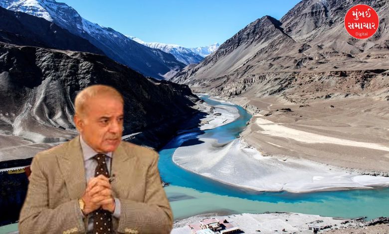 Indus Water Treaty Pakistan's plea