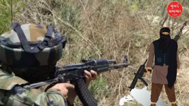 Jammu Kashmir terrorist killed