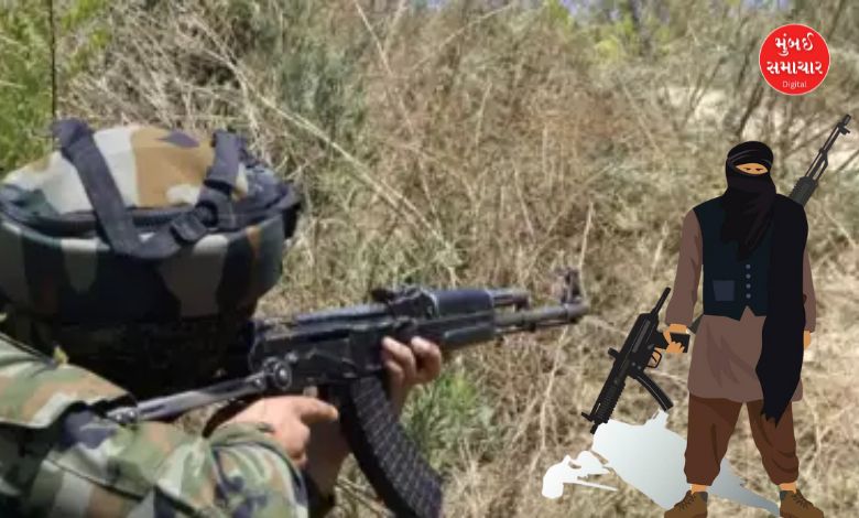 Jammu Kashmir terrorist killed