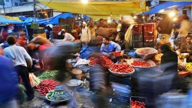 Kutch Heat Vegetables Price Control