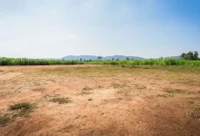 Land of 700-year-old temple dug up