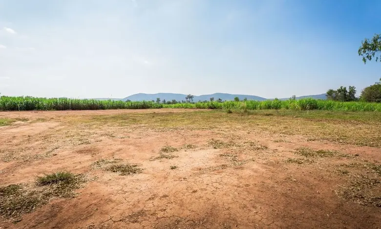 Land of 700-year-old temple dug up