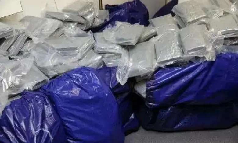 MD worth Rs 6.15 crore seized from Govandi's house Youth arrested