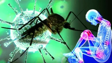 Maharashtra Chikungunya Increase Monsoon