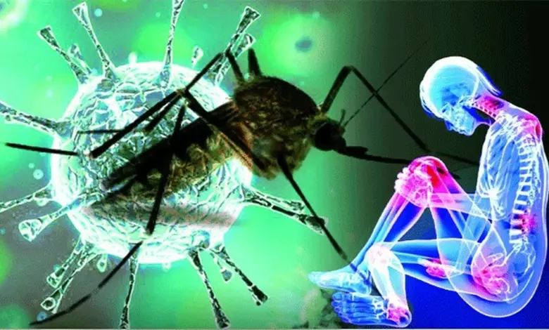 Maharashtra Chikungunya Increase Monsoon