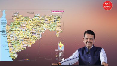 Maharashtra Government 100 Days Report Card