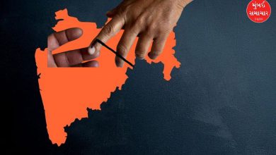 Maharashtra Local Government Body Elections 2025