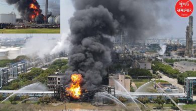 Mushroom cloud formed after massive explosion at Chinese chemical plant, five dead, 19 injured