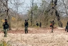 "Four Naxalites Killed in Gadchiroli Encounter"