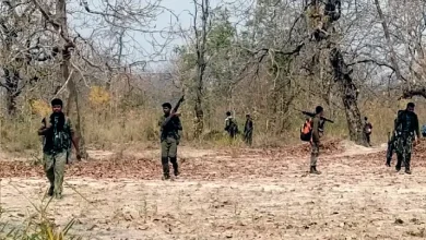 "Four Naxalites Killed in Gadchiroli Encounter"