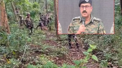 Operation Black Forest