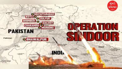Operation Sindoor Terrorist Organizations Loss