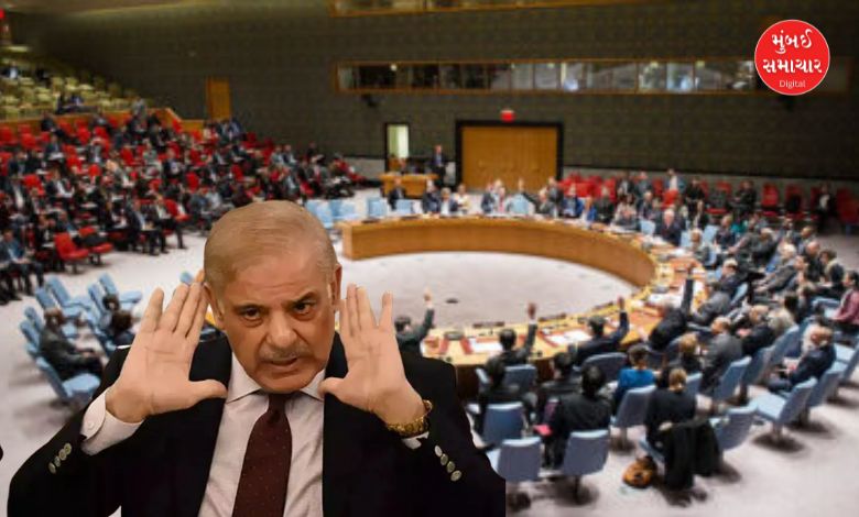 Pahalgam Attack UNSC Pakistan Questions