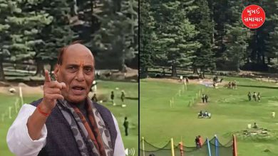 Pahalgam attack Rajnath Singh