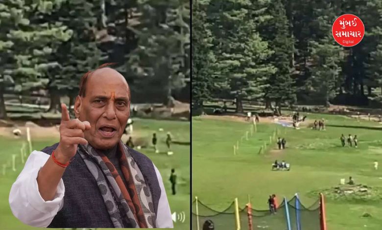 Pahalgam attack Rajnath Singh