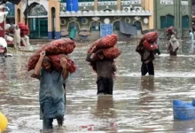 Rains cause devastation, major loss of life in Pakistan's Punjab province