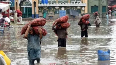 Rains cause devastation, major loss of life in Pakistan's Punjab province