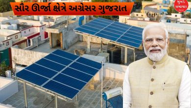 પીએમ સૂર્ય ઘર યોજનામાં ગુજરાત દેશમાં 34% યોગદાન સાથે મોખરે, મહારાષ્ટ્ર બીજા ક્રમે