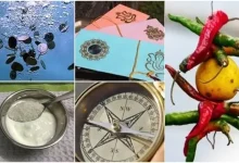 વધુ એક અંધશ્રદ્ધાનો પુરાવોઃ ભૂત વળગ્યું હોવાનું કહીને દર્દીના સગાનો ડોક્ટર પર હુમલો