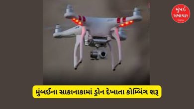 Suspicious drone spotted in Mumbai's Sakinaka area