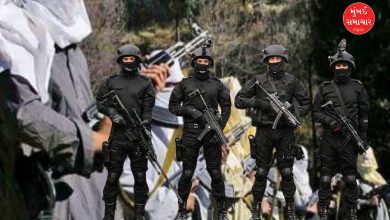 Terrorist List Security Agencies Jammu Kashmir