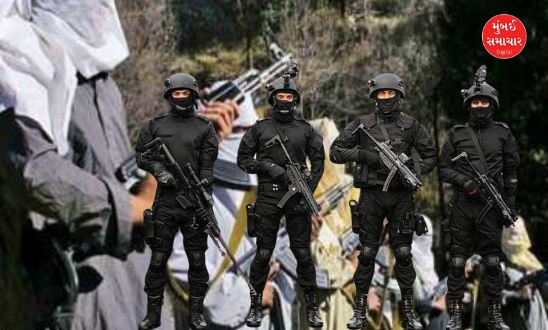 Terrorist List Security Agencies Jammu Kashmir