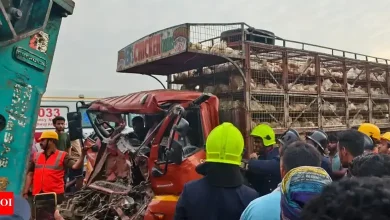 Thane Chicken Truck Excavator Accident