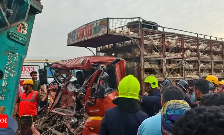 Thane Chicken Truck Excavator Accident