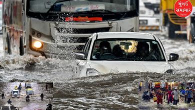 The first rains claimed eight lives in Maharashtra.