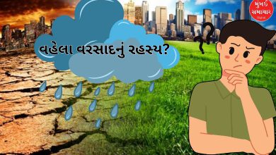 વહેલા વરસાદનું રહસ્ય - 'ગ્લોબલ વોર્મિંગ' કે અન્ય કારણો?