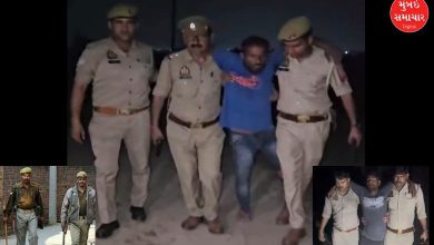 UP Police takes action against criminals under Operation Langda, 10 encounters in 24 hours