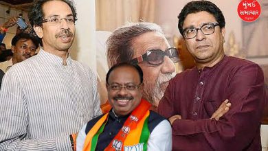 Uddhav Thackeray Raj Thackeray BJP tension