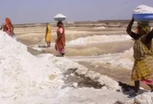 Unseasonal rains cause losses in Gujarat salt industry