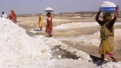 Unseasonal rains cause losses in Gujarat salt industry