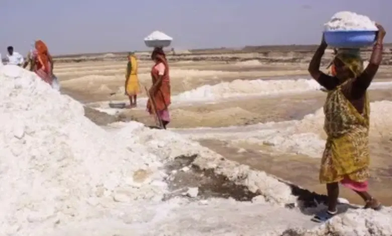 Unseasonal rains cause losses in Gujarat salt industry