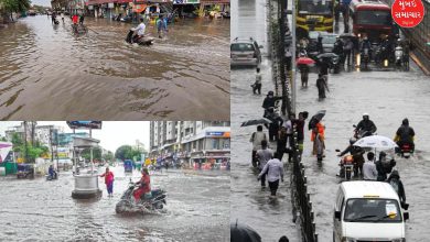 સૌરાષ્ટ્રમાં કમોસમી વરસાદે આફત સર્જી: ગોંડલ યાર્ડમાં માલસામાનને નુકસાન, વીજળી પડવાથી પશુધનને મોટું નુકસાન