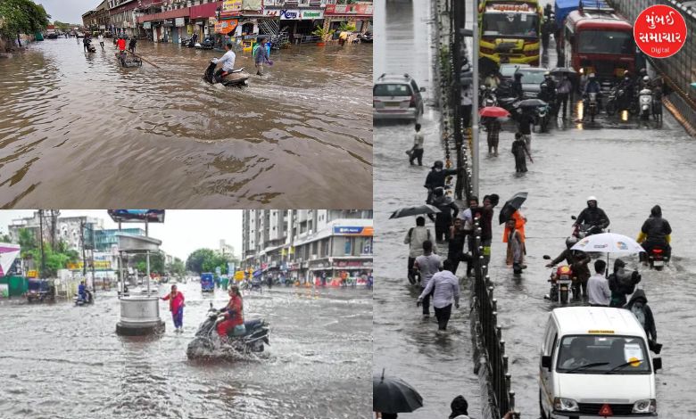 સૌરાષ્ટ્રમાં કમોસમી વરસાદે આફત સર્જી: ગોંડલ યાર્ડમાં માલસામાનને નુકસાન, વીજળી પડવાથી પશુધનને મોટું નુકસાન