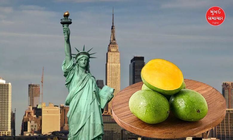 Varanasi's Langda mangoes reach America