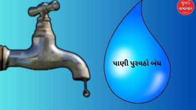દક્ષિણ મુંબઈમાં પાણી પુરવઠો બંધ અંગેની જાહેર નોટિસ સાથેના નકશા અને વિસ્તારો