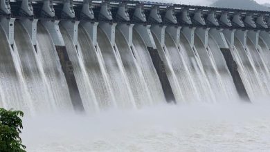 Water level in Gujarat's reservoirs at alarming level, 6 dams completely empty