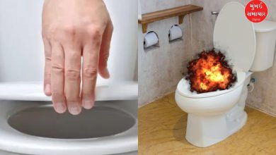Western toilet seats can explode