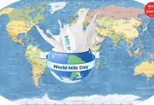World Milk Day