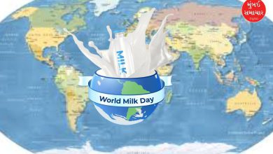 World Milk Day