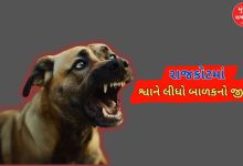 અમદાવાદ બાદ રાજકોટમાં શ્વાને લીધો બાળકનો જીવ