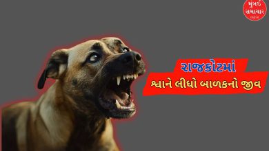 અમદાવાદ બાદ રાજકોટમાં શ્વાને લીધો બાળકનો જીવ