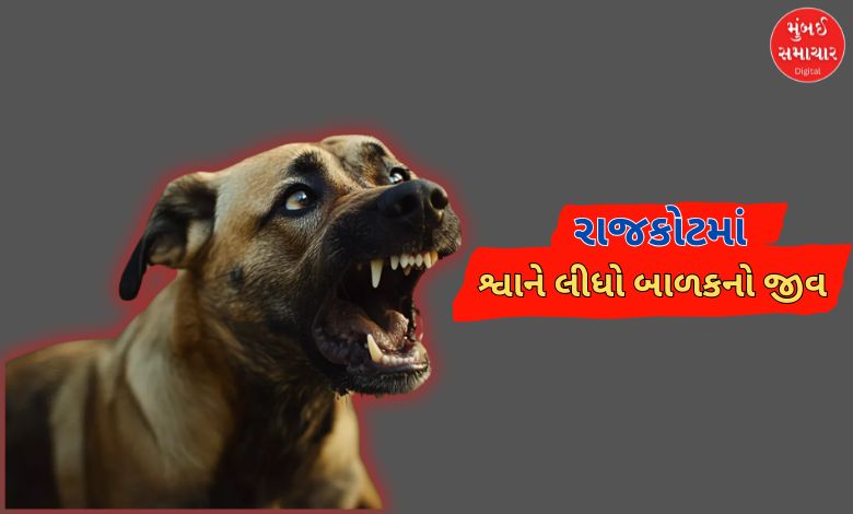 અમદાવાદ બાદ રાજકોટમાં શ્વાને લીધો બાળકનો જીવ