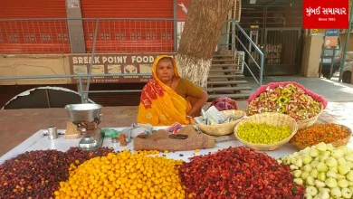 Indigenous fruits have arrived in Ahmedabad.