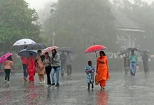 due to unseasonal rain in Gujarat 8 deaths heavy rain forecast