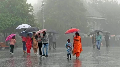 due to unseasonal rain in Gujarat 8 deaths heavy rain forecast