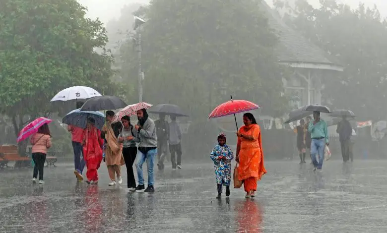 due to unseasonal rain in Gujarat 8 deaths heavy rain forecast